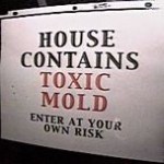 toxic mold