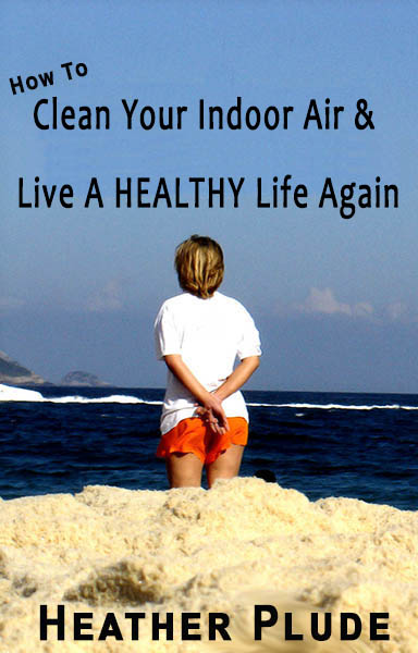 clean indoor air book